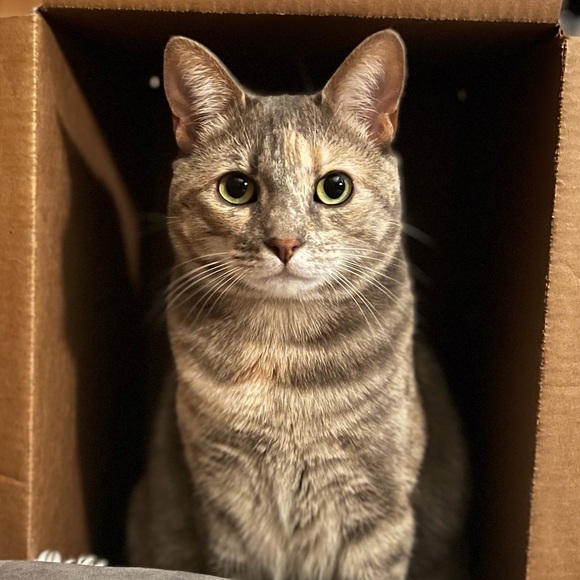 Meet your Posher, Jen - Picture 1 of 1